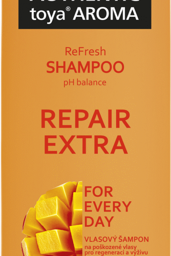 Authentic Shampoon Repair Extra 400ml