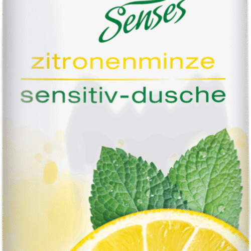 Frosch Dušigeel sidrun&münt 300ml