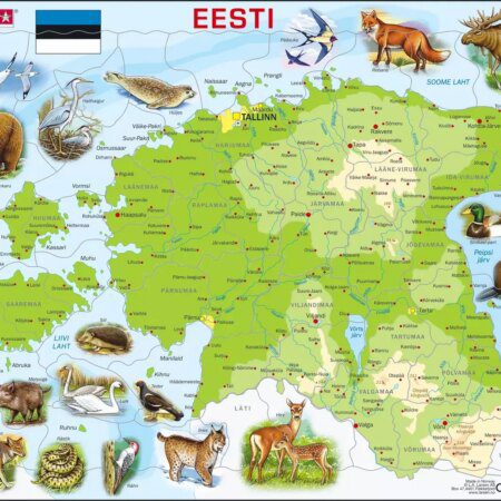 Puzzle Eesti geograafiline kaart K66