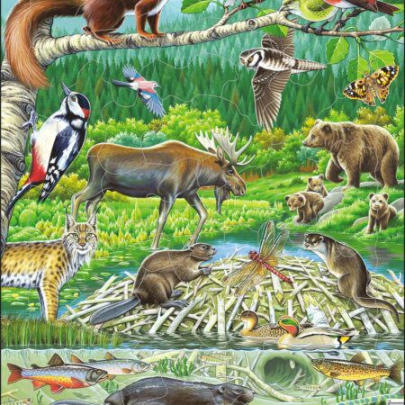 Puzzle Põhjamaa MetsFH15