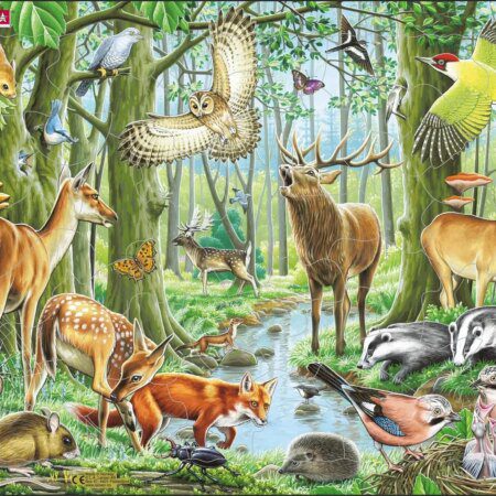 Puzzle Euroopa Mets FH1711