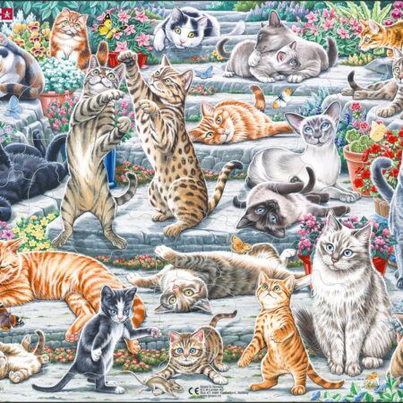 Puzzle Kassid MAXI FH51