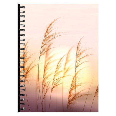 Nature, pilt 2 - horisontaaljaotus, spiraalköide