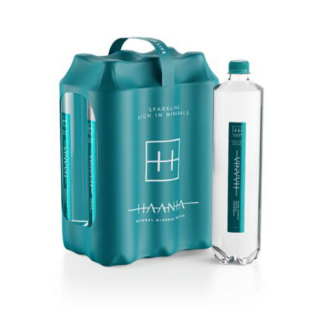 HAANJA KARBONISEERITUD LOODUSLIK MINERAALVESI 6 X 100CL PET