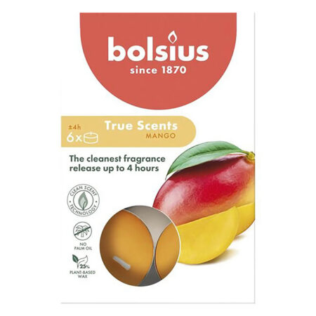 6 lõhna-teeküünalt karbis 4h, mango True